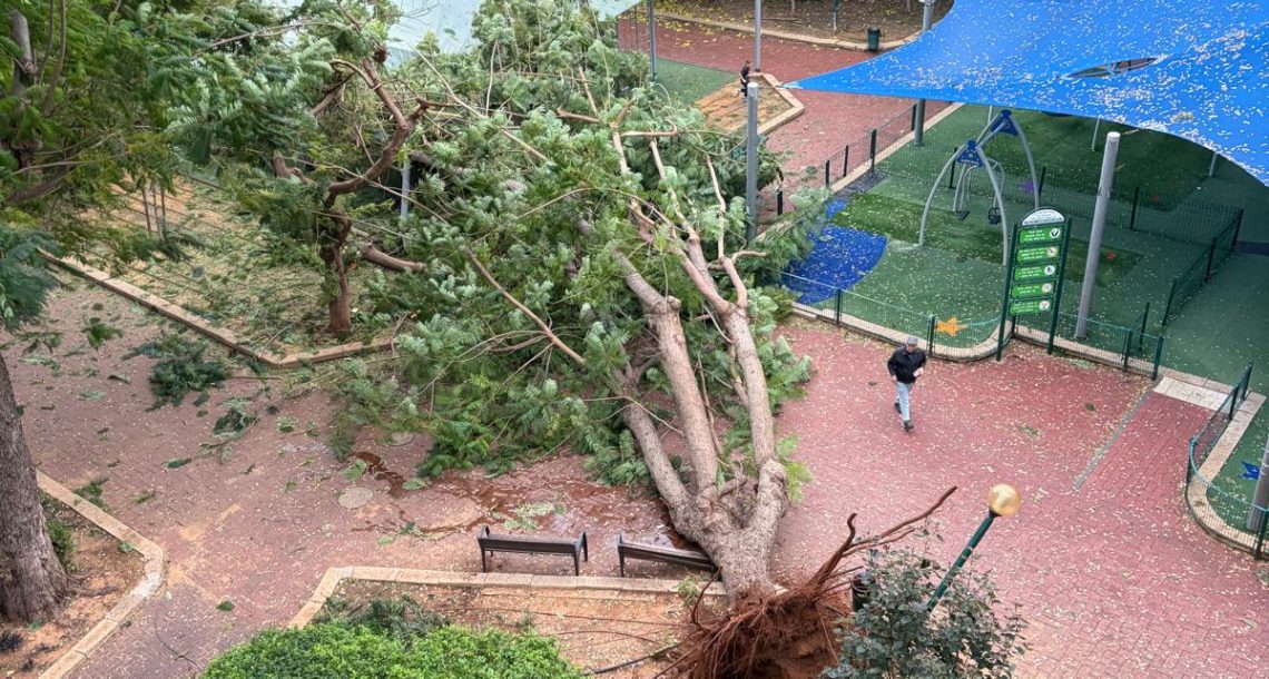 מזג אוויר קיצוני בערי השרון: נפילות עצים, הפסקות חשמל ואזהרת סכנת חיים בחופי הים